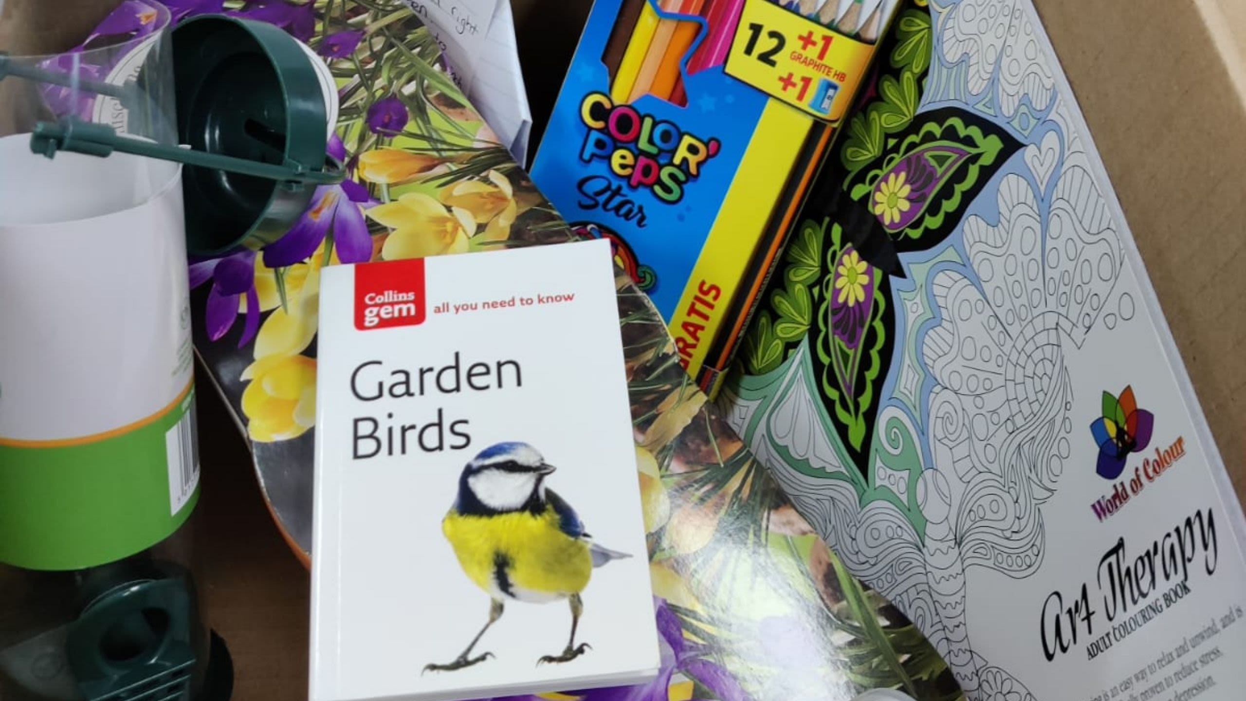 Image of contents of sample box containing colouring pencils, colouring book, pocket guide to garden birds